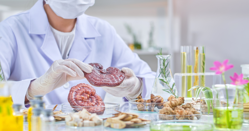 Reishi, Tamoxifen és BRCA: Mítoszok vs. tudományos tények