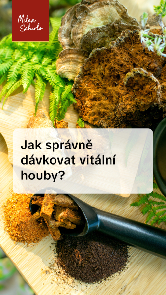 Reels_Jak-spraüvneî-daüvkovat-vitaülniü-houby-.jpg