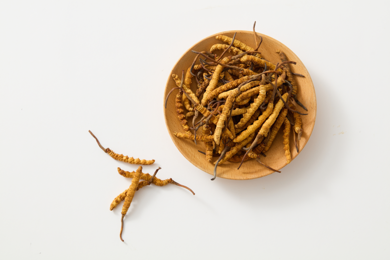 Cordyceps - feltölti az elveszett energiát